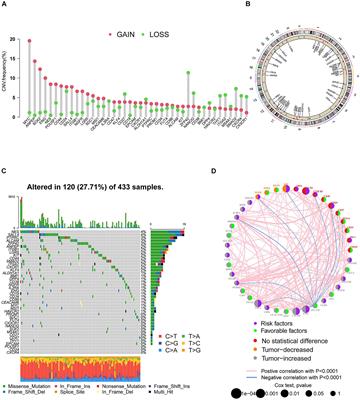 Integrated Analysis of Stemness-Related LncRNAs Helps Predict the Immunotherapy Responsiveness of Gastric Cancer Patients